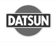 Datsun car covers