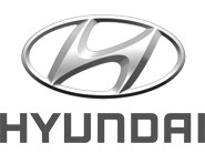 Hyundai copriauto